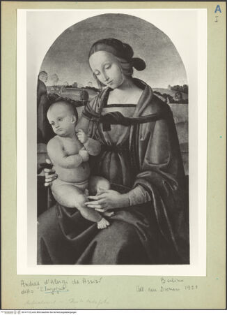 Vorderseite von bh141135_recto