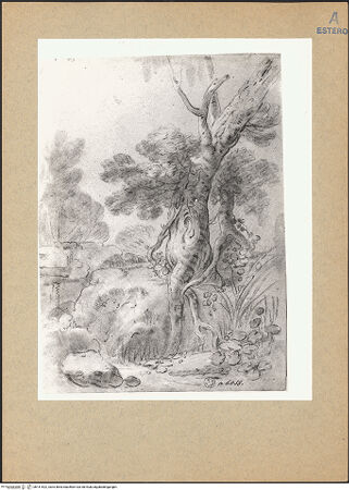 Vorderseite von bh141522_recto