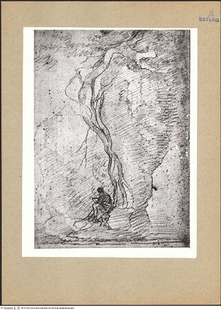 Vorderseite von bh141523_recto