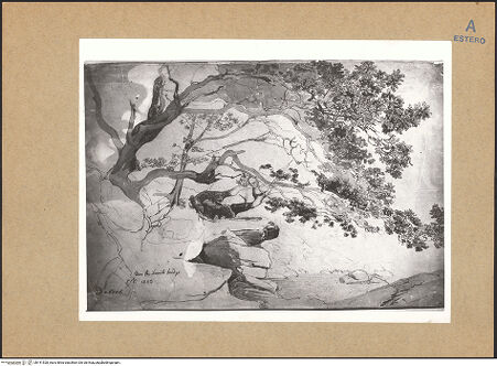 Vorderseite von bh141528_recto