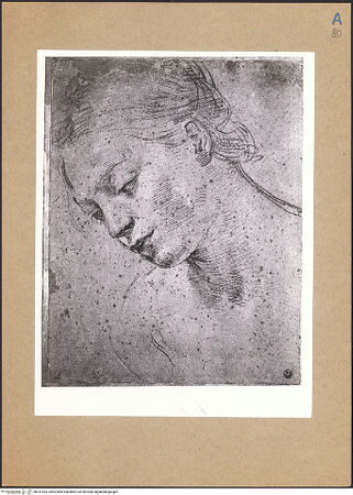 Vorderseite von bh141533_recto