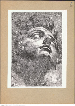 Vorderseite von bh141538_recto