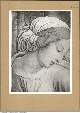 Vorderseite von bh141540_recto