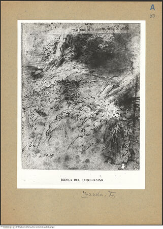 Vorderseite von bh141549_recto