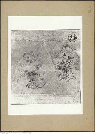 Vorderseite von bh141551_recto