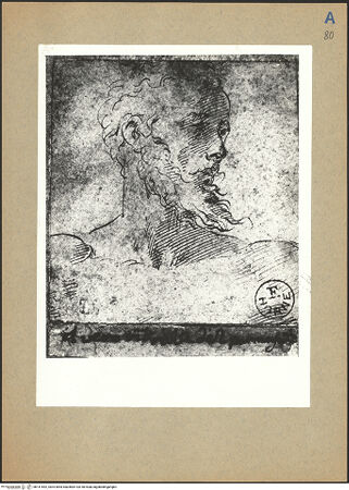 Vorderseite von bh141552_recto