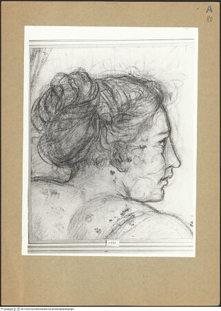 Vorderseite von bh141553_recto