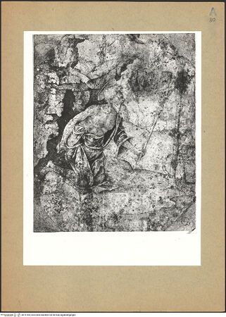 Vorderseite von bh141554_recto