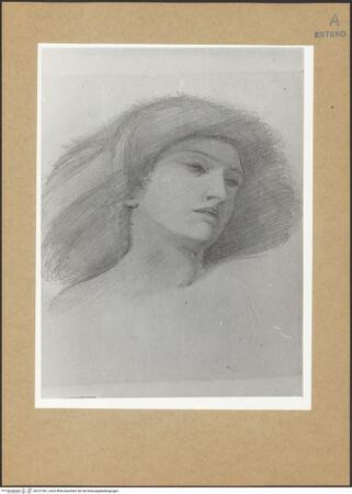 Vorderseite von bh141561_recto