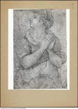 Vorderseite von bh141667_recto