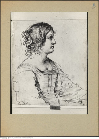 Vorderseite von bh141670_recto