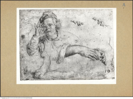 Vorderseite von bh141674_recto