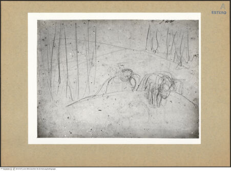 Vorderseite von bh141675_recto