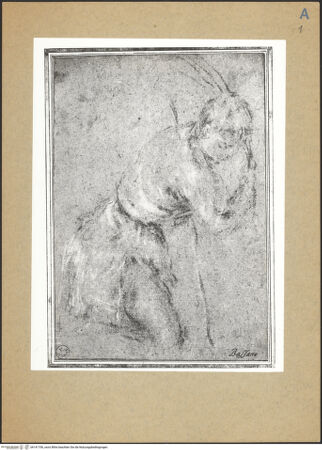 Vorderseite von bh141706_recto