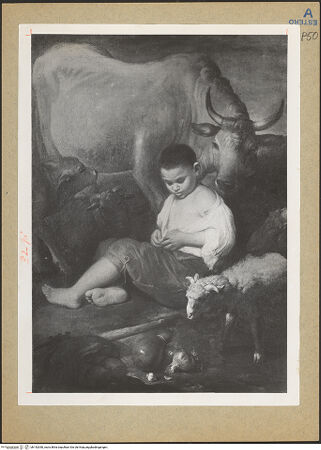 Vorderseite von bh142050_recto