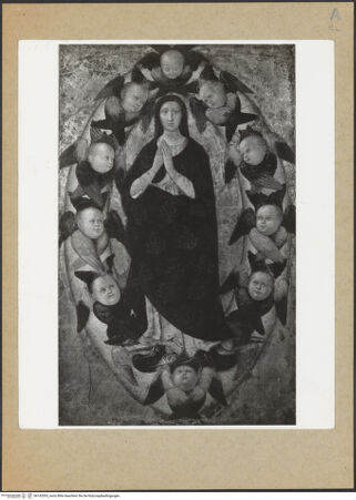 Vorderseite von bh142053_recto