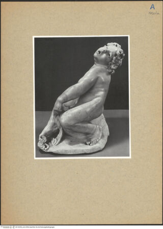 Vorderseite von bh142056_recto