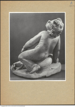 Vorderseite von bh142057_recto