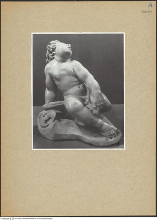 Vorderseite von bh142058_recto