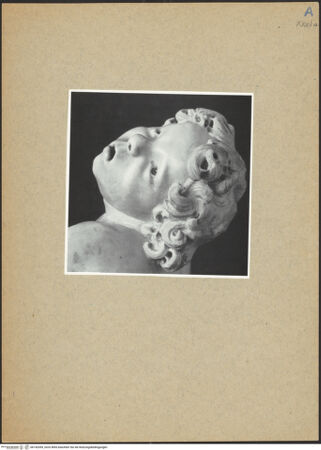 Vorderseite von bh142059_recto