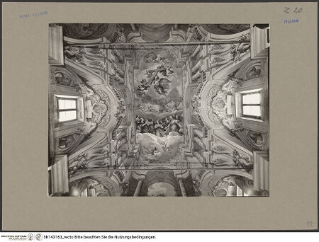 Vorderseite von bh142163_recto