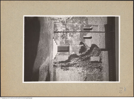 Vorderseite von bh142459_recto