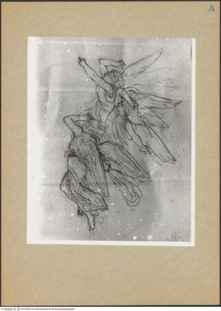 Vorderseite von bh142649_recto