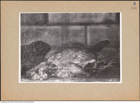 Vorderseite von bh142657_recto