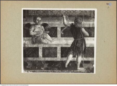 Vorderseite von bh142663_recto