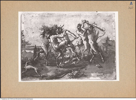 Vorderseite von bh142667_recto