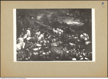 Vorderseite von bh142894_recto