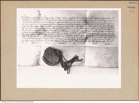 Vorderseite von bh142931_recto