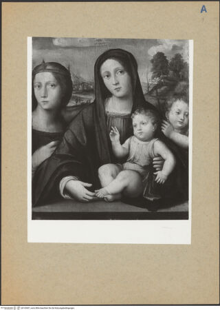 Vorderseite von bh143407_recto