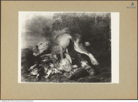 Vorderseite von bh143788_recto