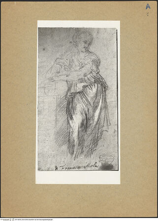 Vorderseite von bh143834_recto