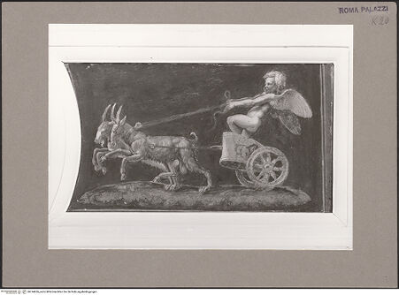 Vorderseite von bh144626_recto