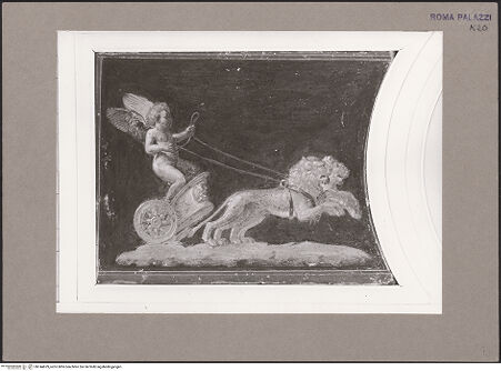 Vorderseite von bh144629_recto