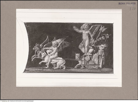 Vorderseite von bh144634_recto