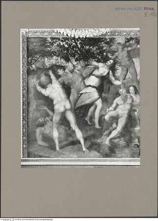 Vorderseite von bh144644_recto