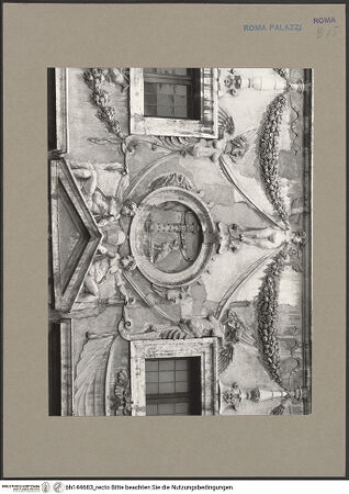 Vorderseite von bh144683_recto