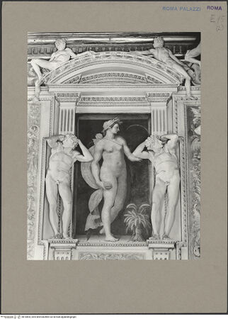 Vorderseite von bh144695_recto