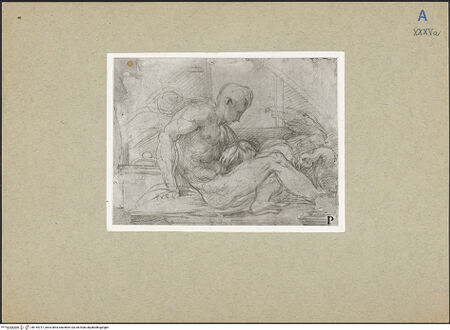 Vorderseite von bh144737_recto