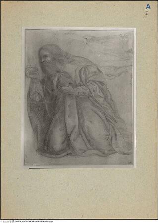 Vorderseite von bh144746_recto