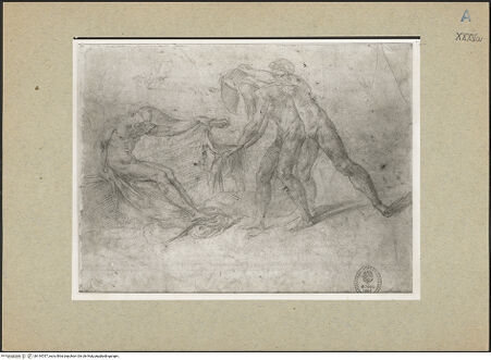 Vorderseite von bh144767_recto