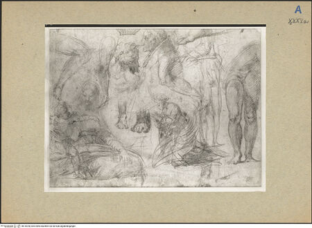 Vorderseite von bh144768_recto