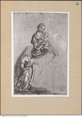 Vorderseite von bh144769_recto