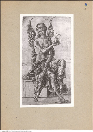 Vorderseite von bh144780_recto