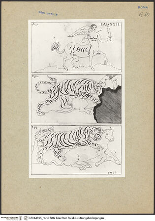 Vorderseite von bh144895_recto