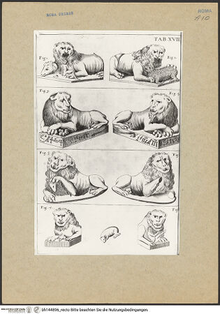 Vorderseite von bh144896_recto