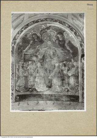 Vorderseite von bh144981_recto